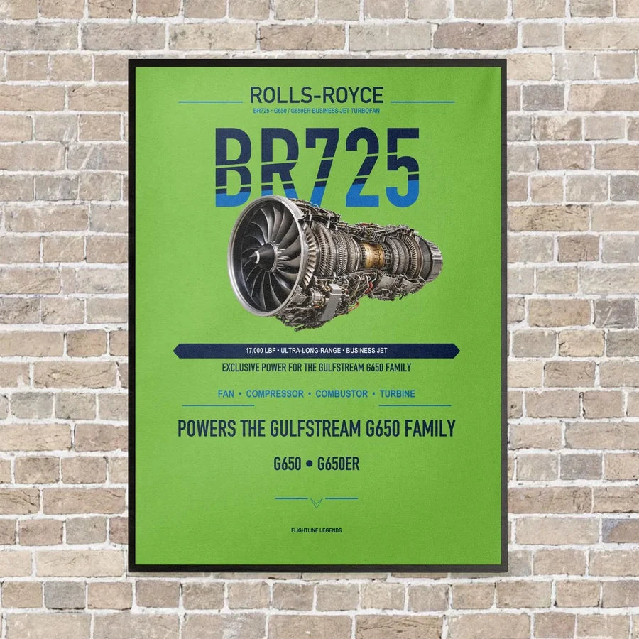 BR725 vertical canvas print - framed - light green background