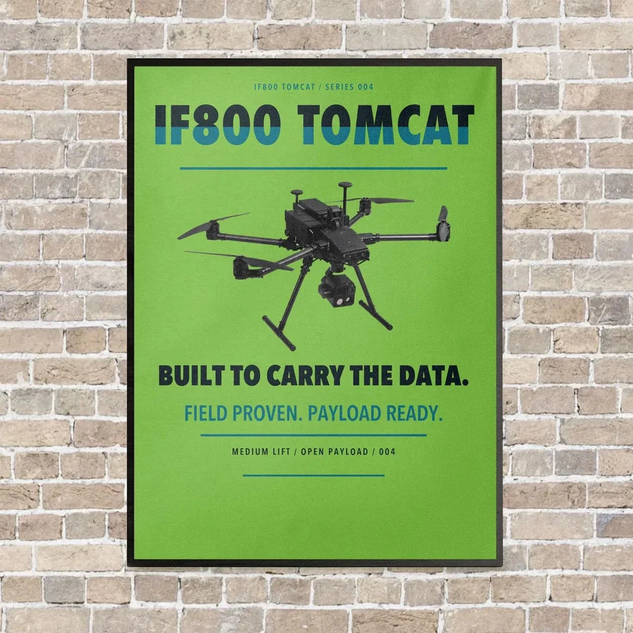 Inspired Flight IF800 Tomcat vertical canvas print - framed - light green background
