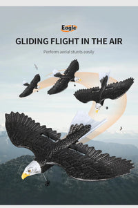 Thumbnail for Z59 2Channel 2.4G Glider RC Airplane with Eagle Style Remote Control EPP Foam Drone Simple Control - view 18