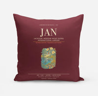 Thumbnail for JacksonMedgar Wiley Evers International Airport JAN - Dark Red