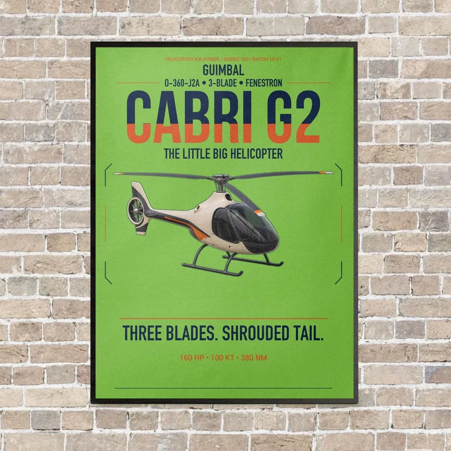 Guimbal Cabri G2 vertical canvas print - framed - light green background
