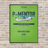 Thumbnail for Tecnam P-Mentor vertical canvas print - framed - light green background
