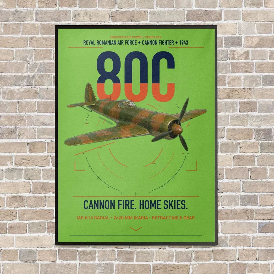 IAR 80C vertical canvas print - framed - light green background