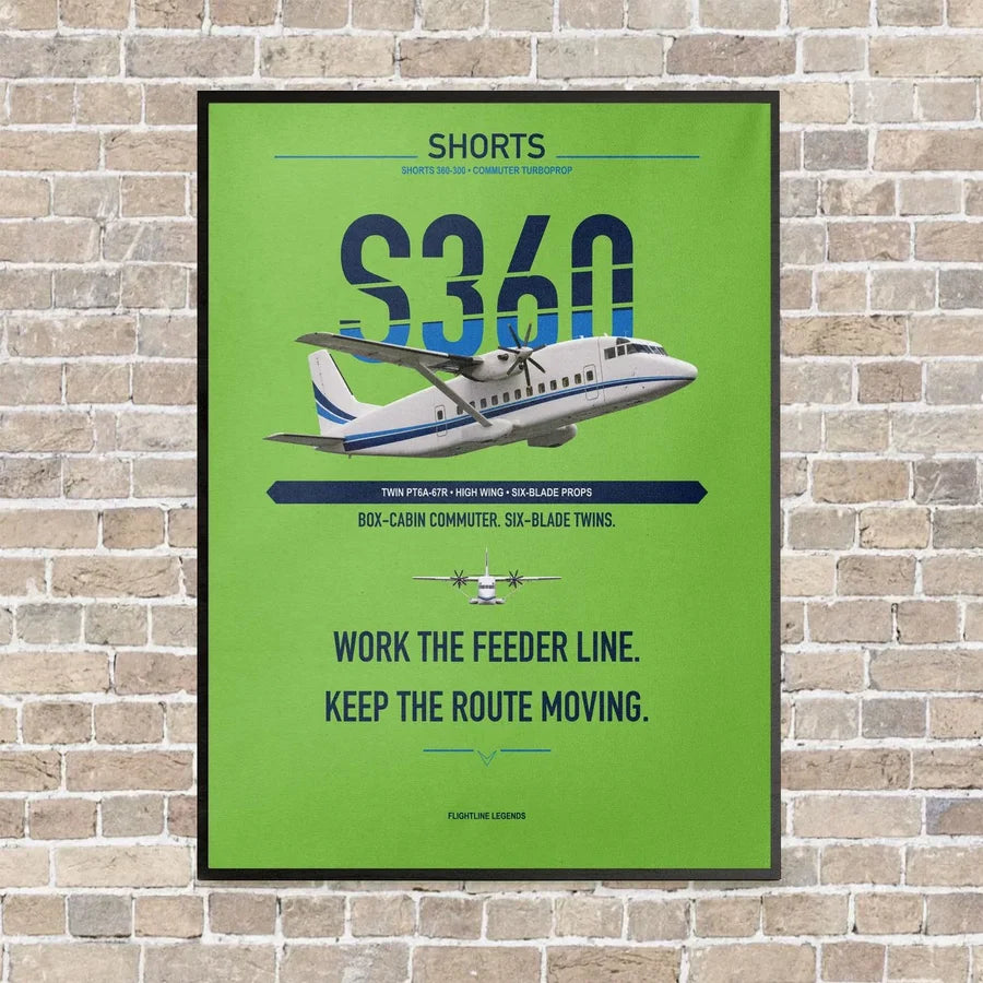 Shorts 360-300 vertical canvas print - framed - light green background
