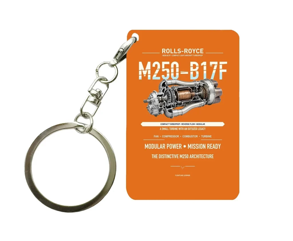 M250-B17F Key Chain design on orange key chain