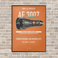 Thumbnail for AE 3007 vertical canvas print - framed - orange background