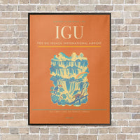 Thumbnail for Foz do Iguaçu International Airport IGU vertical canvas print - framed - orange background