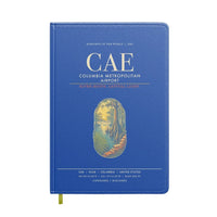 Thumbnail for Columbia Metropolitan Airport CAE - Blue