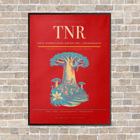 Thumbnail for Ivato International Airport TNR — Antananarivo vertical canvas print - framed - red background