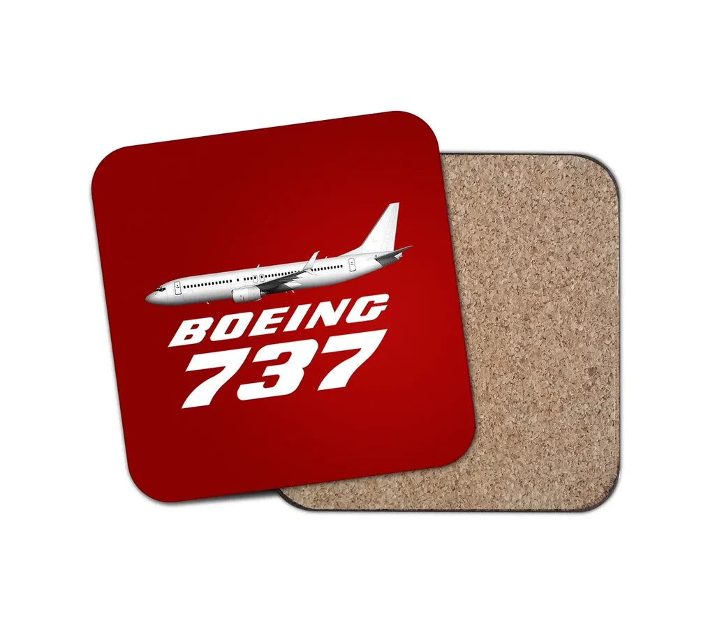 Boeing 737 Coaster - view 15