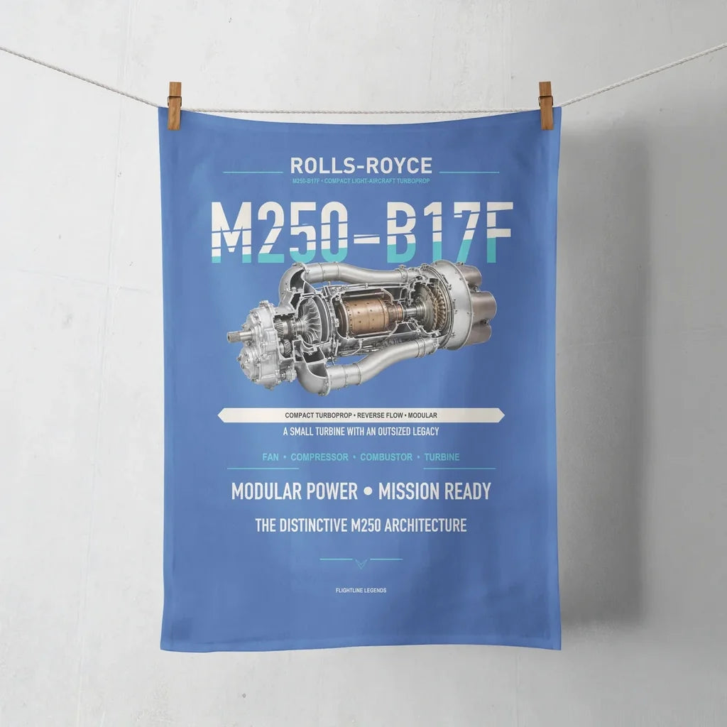 M250-B17F design on blue towel