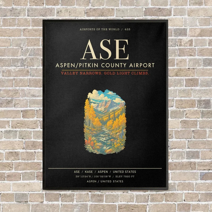 Aspen - Pitkin County Airport ASE - Canvas Framed - Black