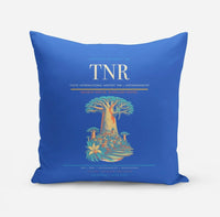 Thumbnail for Ivato International Airport (TNR) design on blue pillow