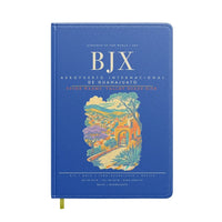 Thumbnail for Aeropuerto Internacional de Guanajuato BJX - Blue