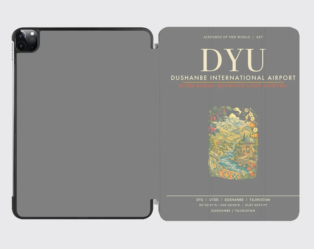 Dushanbe International Airport DYU - Gray