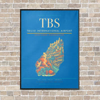 Thumbnail for Tbilisi International Airport TBS vertical canvas print - framed - turquoise background