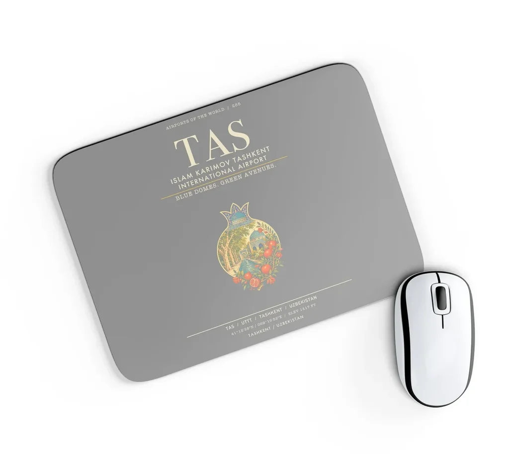 Islam Karimov Tashkent International Airport TAS - Gray