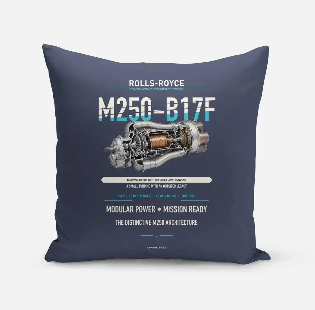 M250-B17F design on navy blue pillow