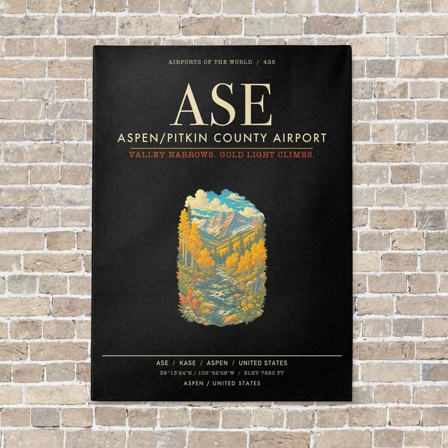 Aspen - Pitkin County Airport ASE - Canvas Framed - Black