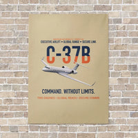 Thumbnail for C-37B Global Command Link vertical canvas print - no frame - beige background