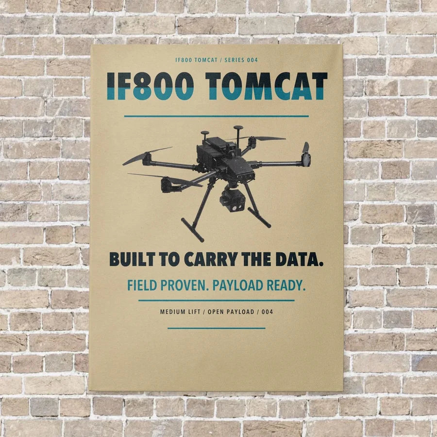 Inspired Flight IF800 Tomcat vertical canvas print - no frame - beige background