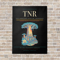 Thumbnail for Ivato International Airport TNR — Antananarivo vertical canvas print - no frame - black background