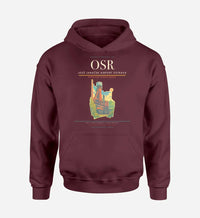 Thumbnail for Leoš Janáček Airport Ostrava (OSR) design on dark red hoodie single-side print