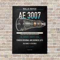 Thumbnail for AE 3007 vertical canvas print - no frame - black background