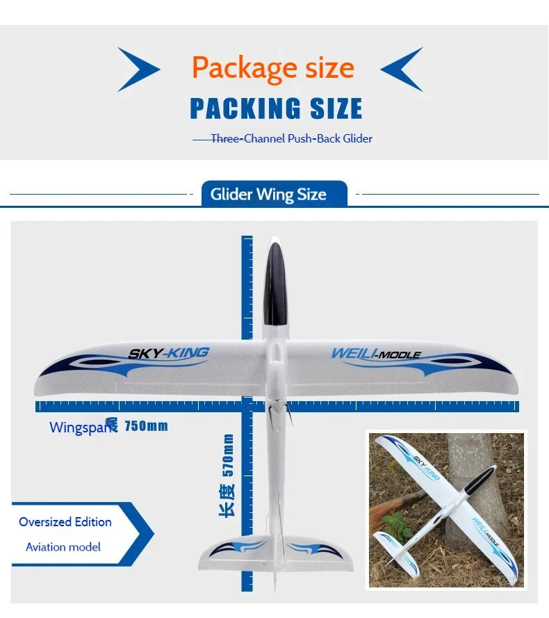 F959s Three-Channel Push-Back High-Speed Glider Six-Axis Gyroscope Remote Control Aircraft Plane Rc Model Toy - view 25