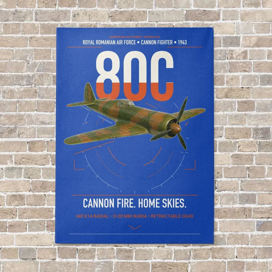 IAR 80C vertical canvas print - no frame - blue background