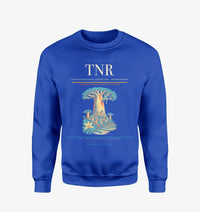 Thumbnail for Ivato International Airport (TNR) design on blue sweatshirt