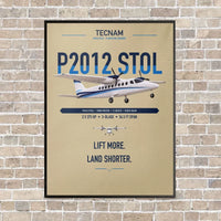 Thumbnail for Tecnam P2012 STOL vertical canvas print - framed - beige background