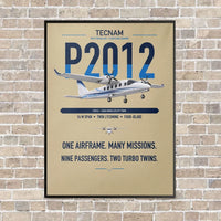 Thumbnail for Tecnam P2012 Traveller vertical canvas print - framed - beige background