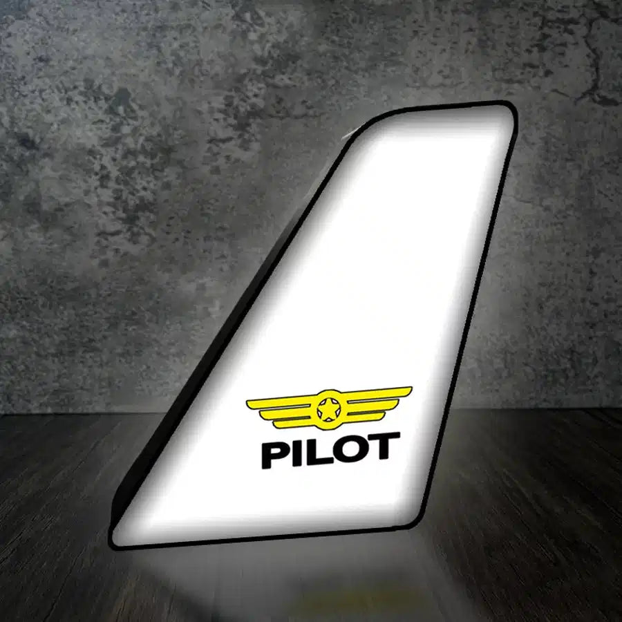 Pilot & Badge 3D Badge - view 2