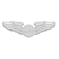 Thumbnail for Spirit Airlines Brooch - view 2