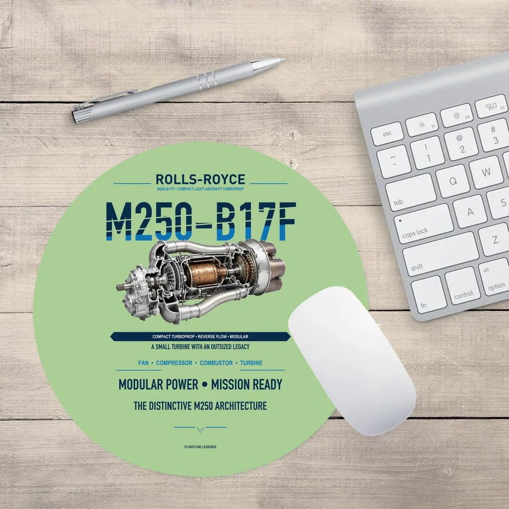 M250-B17F design on light green round mouse pad
