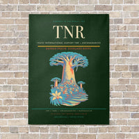 Thumbnail for Ivato International Airport TNR — Antananarivo vertical canvas print - no frame - dark green background