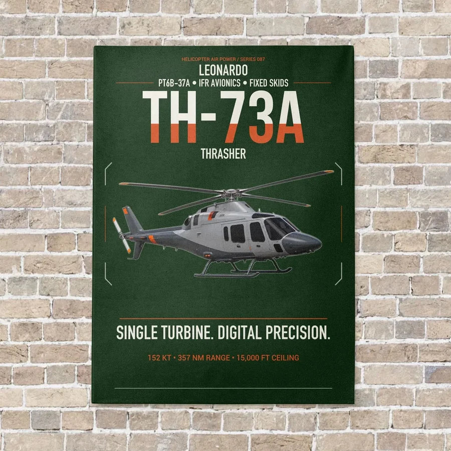 Leonardo TH-73A Thrasher vertical canvas print - no frame - dark green background