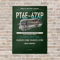 Thumbnail for PT6E-67XP vertical canvas print - no frame - dark green background