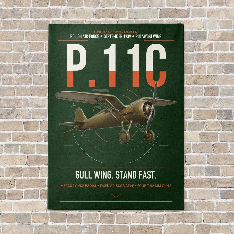 PZL P.11c vertical canvas print - no frame - dark green background