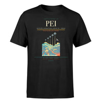 Thumbnail for Matecaña International Airport (PEI) T-Shirt single-side front print in Black | matecaña-international-airport-pei-double-side-t-shirt