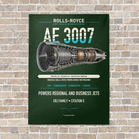 Thumbnail for AE 3007 vertical canvas print - no frame - dark green background