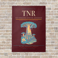 Thumbnail for Ivato International Airport TNR — Antananarivo vertical canvas print - no frame - dark red background