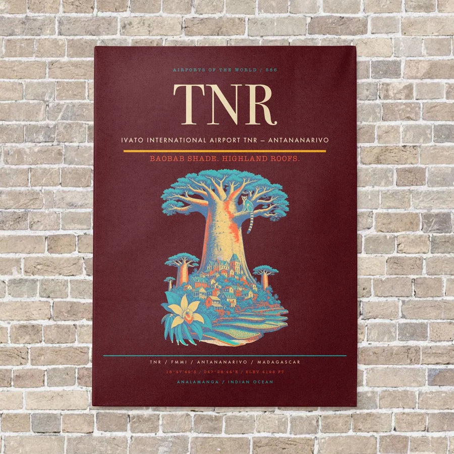 Ivato International Airport TNR — Antananarivo vertical canvas print - no frame - dark red background