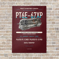 Thumbnail for PT6E-67XP vertical canvas print - no frame - dark red background