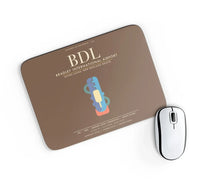 Thumbnail for Bradley International Airport BDL - Brown
