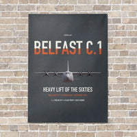 Thumbnail for Short Belfast C.1 vertical canvas print - no frame - gray background