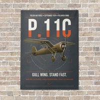 Thumbnail for PZL P.11c vertical canvas print - no frame - gray background
