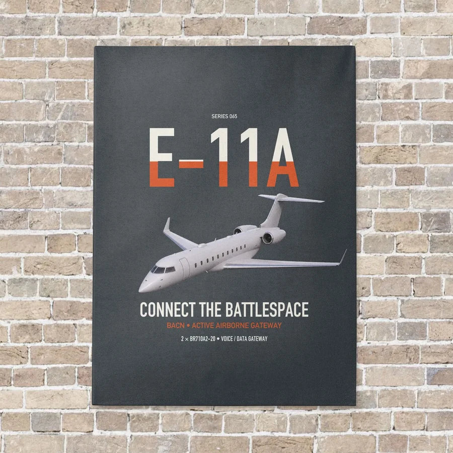 E-11A BACN vertical canvas print - no frame - gray background