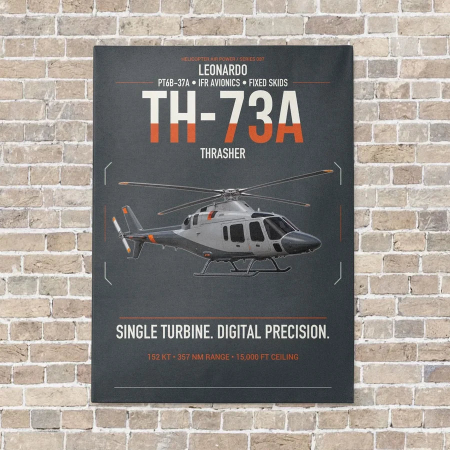 Leonardo TH-73A Thrasher vertical canvas print - no frame - gray background